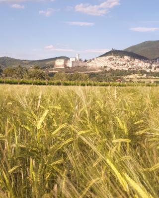 B&B Domus Benedicta