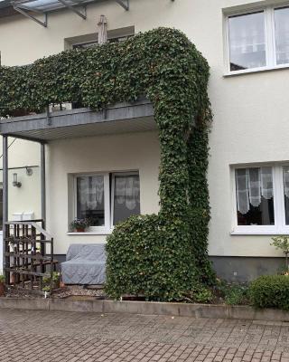 Ferienwohnung Am Stadtpark