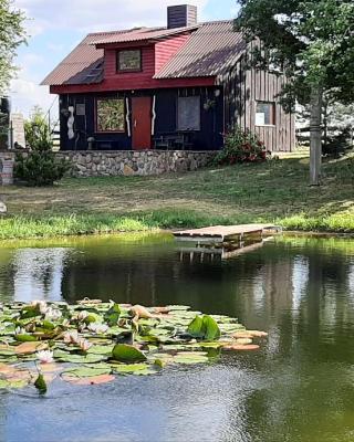 House in nature