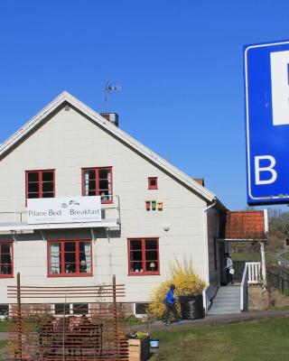 Pilane B&B