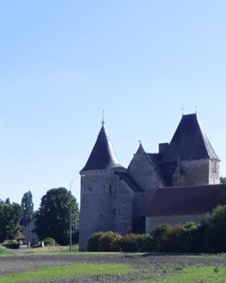 Chateau de Chémery