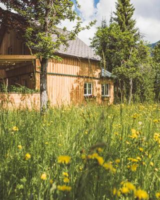 Luxus Ferienhaus Altaussee