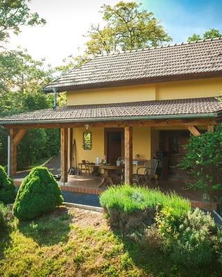 Green Hills Cottage in Zagorje with magnificent view