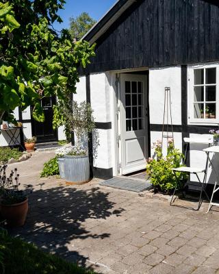 Svenskebakken Bed & Breakfast