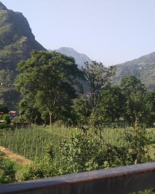 Yellow Valley Homestay