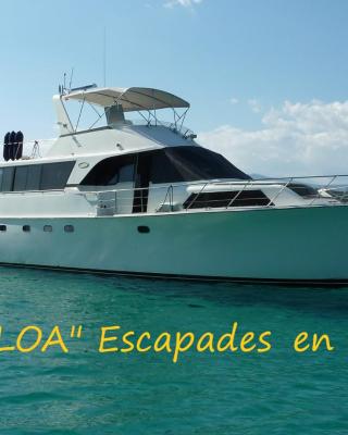Ocean Yacht Trawler - Le Caloa