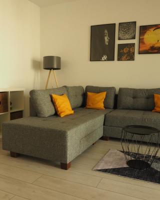 Stil Apartment Brasov Coresi