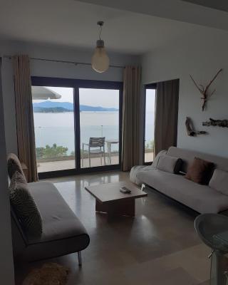 Superior Suite Cronus