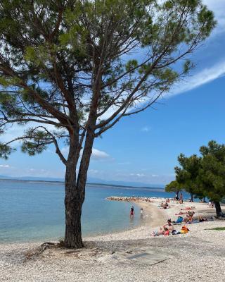 Family Apartments Vesna- 100 m Beach -Center Crikvenica