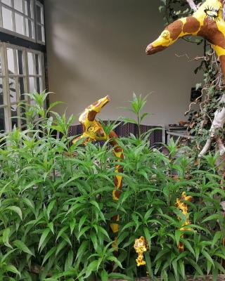 Ferienwohnung Brandmaier