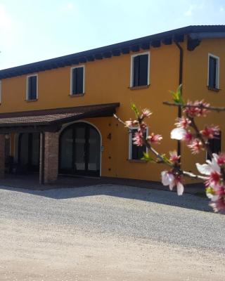 Agriturismo Borgo Borromeo