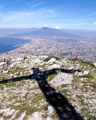 Il Vicoletto