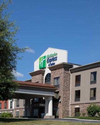 Holiday Inn Express & Suites Knoxville-Farragut, an IHG Hotel