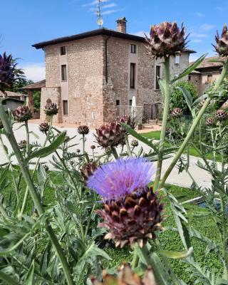 Corte Davini Agriturismo