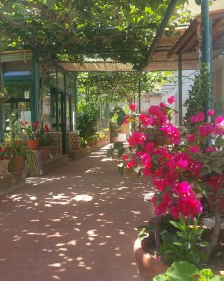 Villa dei fiori B&B