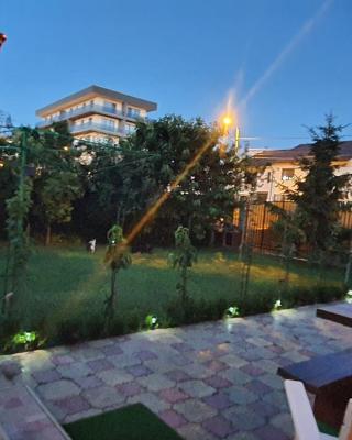 Vila Vasile