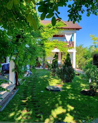 Casa Palaghia