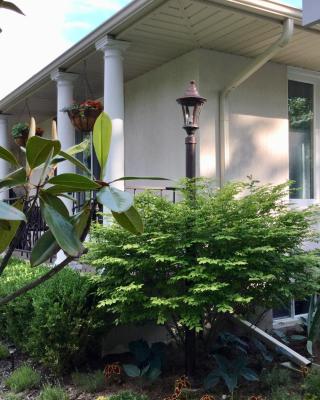 Via Veneto - Old Town