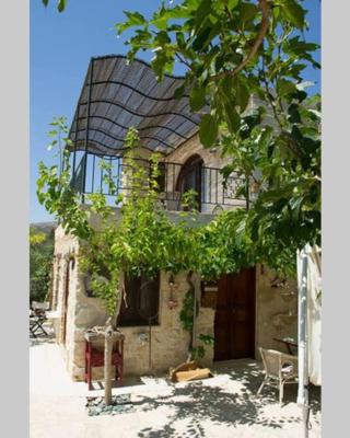 Petite Olive House