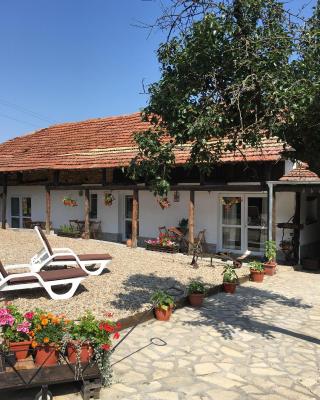 Sunflower Guest House Bulgaria