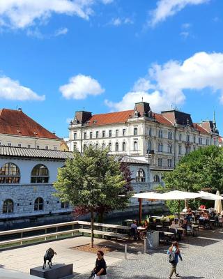 Petkovšek Rooms and Apartments