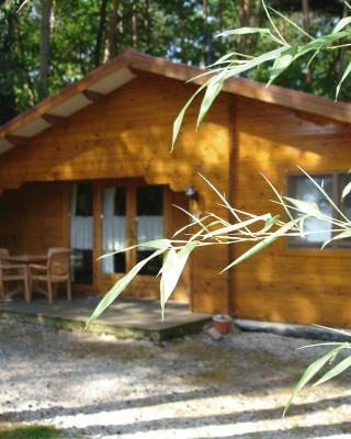 德布倫克伯格小屋公園洋房汽車旅館