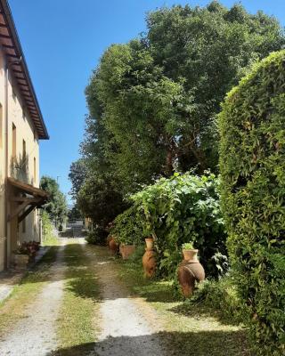 Antica Fattoria La Verdina