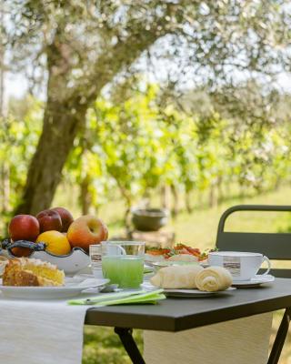 B&B Vallecupa