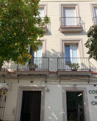 Sibilina House centro Jerez