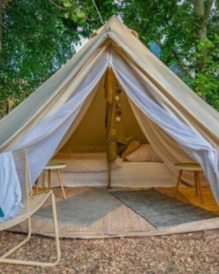 Into the Green Glamping- Beech