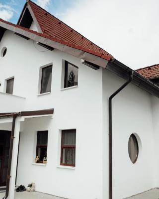 Autentic Adorabil Apartment