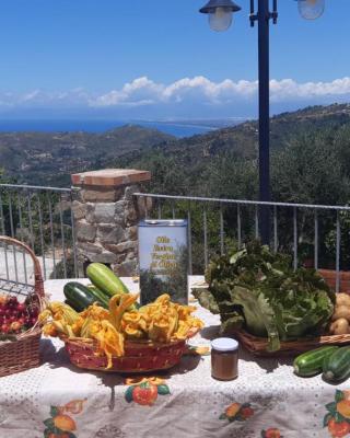 Agriturismo Gli Antichi Sapori - con stazione di ricarica veicoli elettrici