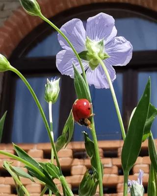 Agriturismo Mondo