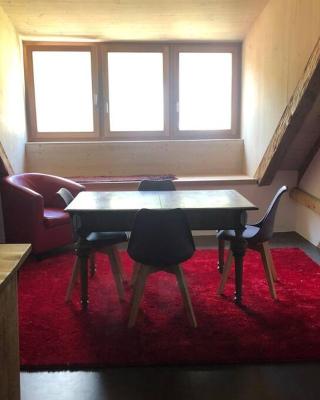 Loft 100m2, im Ökohaus in Susch