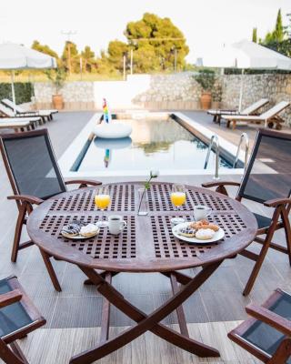 Private pool Sani villa