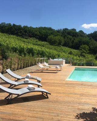 Villa Pongina with private pool
