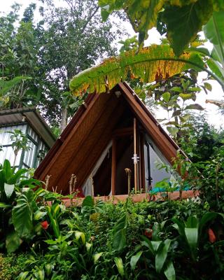 ECO Bedugul adventurer camp