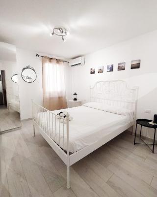 La casa del pesciolino (into the lagoon) - The little fish house (into the lagoon)