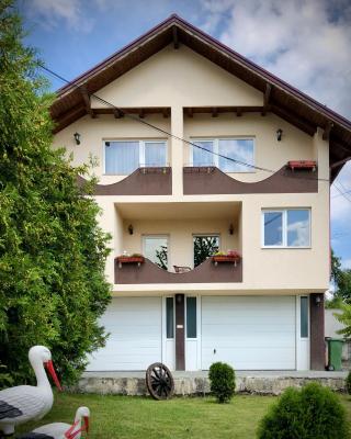 Casa Paunescu