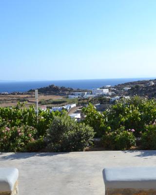 Oniropetra Apartments Mykonos
