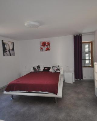 sassenage au pied du Vercors 2 appartements
