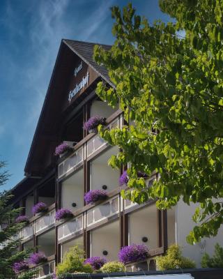 Landhotel Henkenhof Willingen