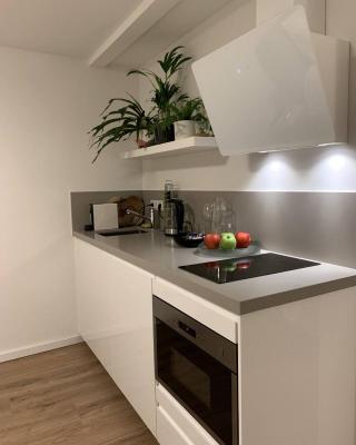 Designer Loft Apartment in Delft city new 38B