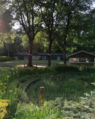 Waldjugendherberge Uelsen