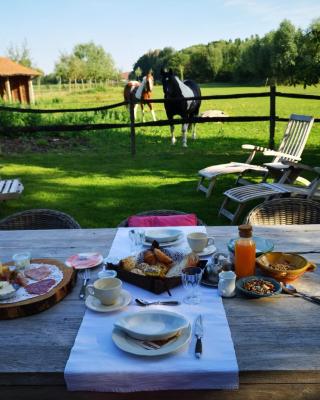 Casa Leone near Bruges with jacuzzi & parking