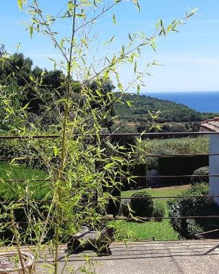 ESTUDIO vistas al mar TAMARIU y bosques de BEGUR