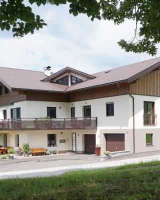 Ferienwohnung Hausleitner