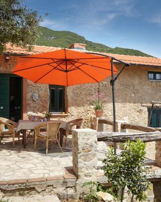 Casa Berti - Urlaub im Olivenhain
