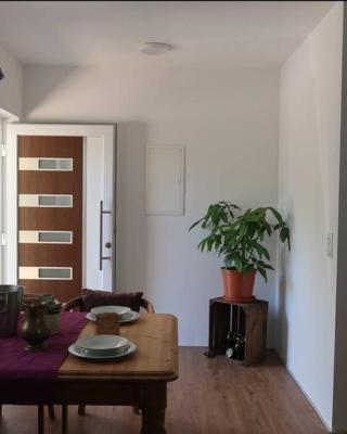 Grüner Baum ferienwohnung