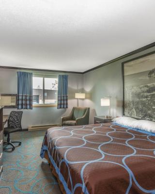 Super 8 by Wyndham Duluth